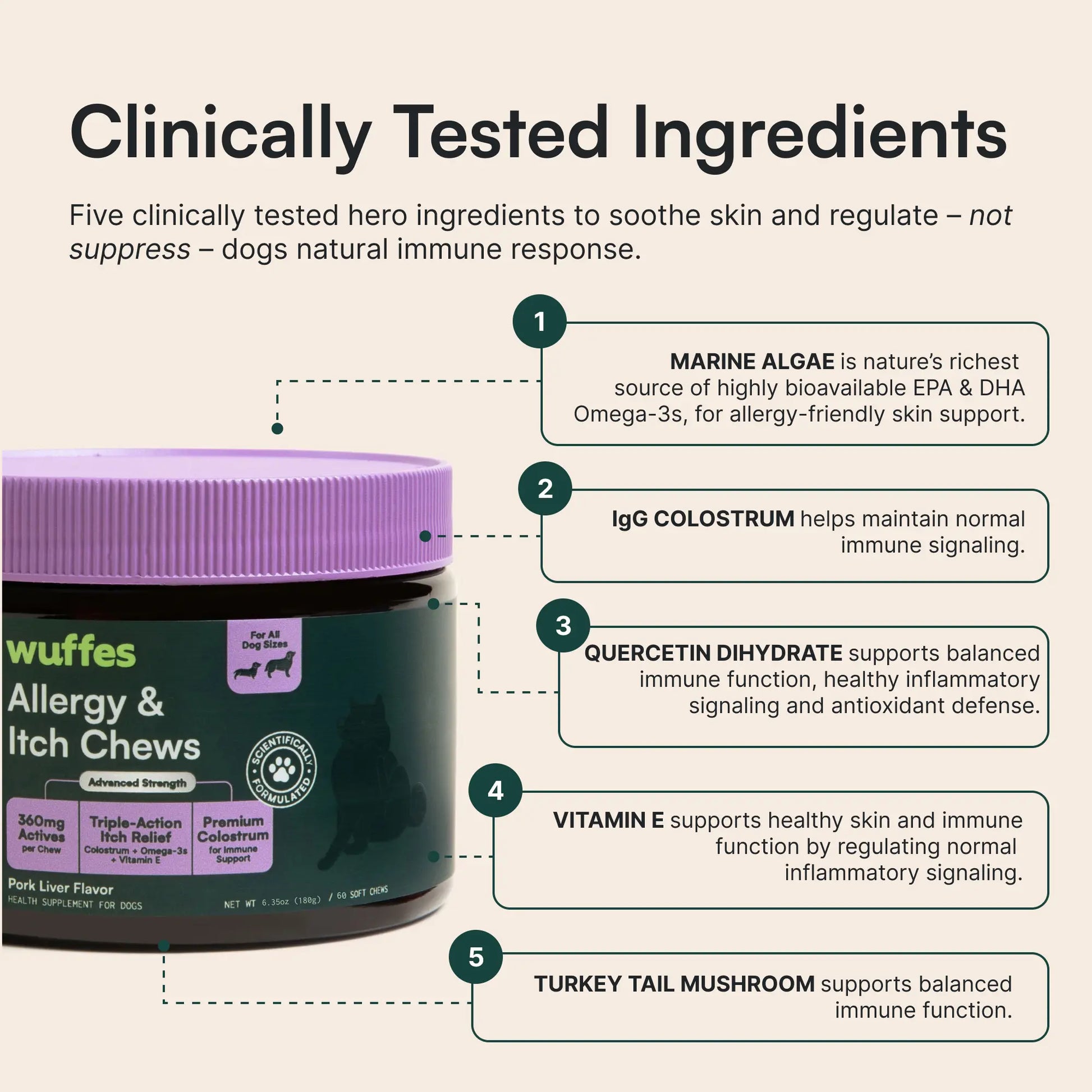 Wuffes Allergy & Itch Relief Chews for Dogs - Skin and Immune Support Supplement for Seasonal Allergies - Suitable for All Breeds and Ages - Made in the USA