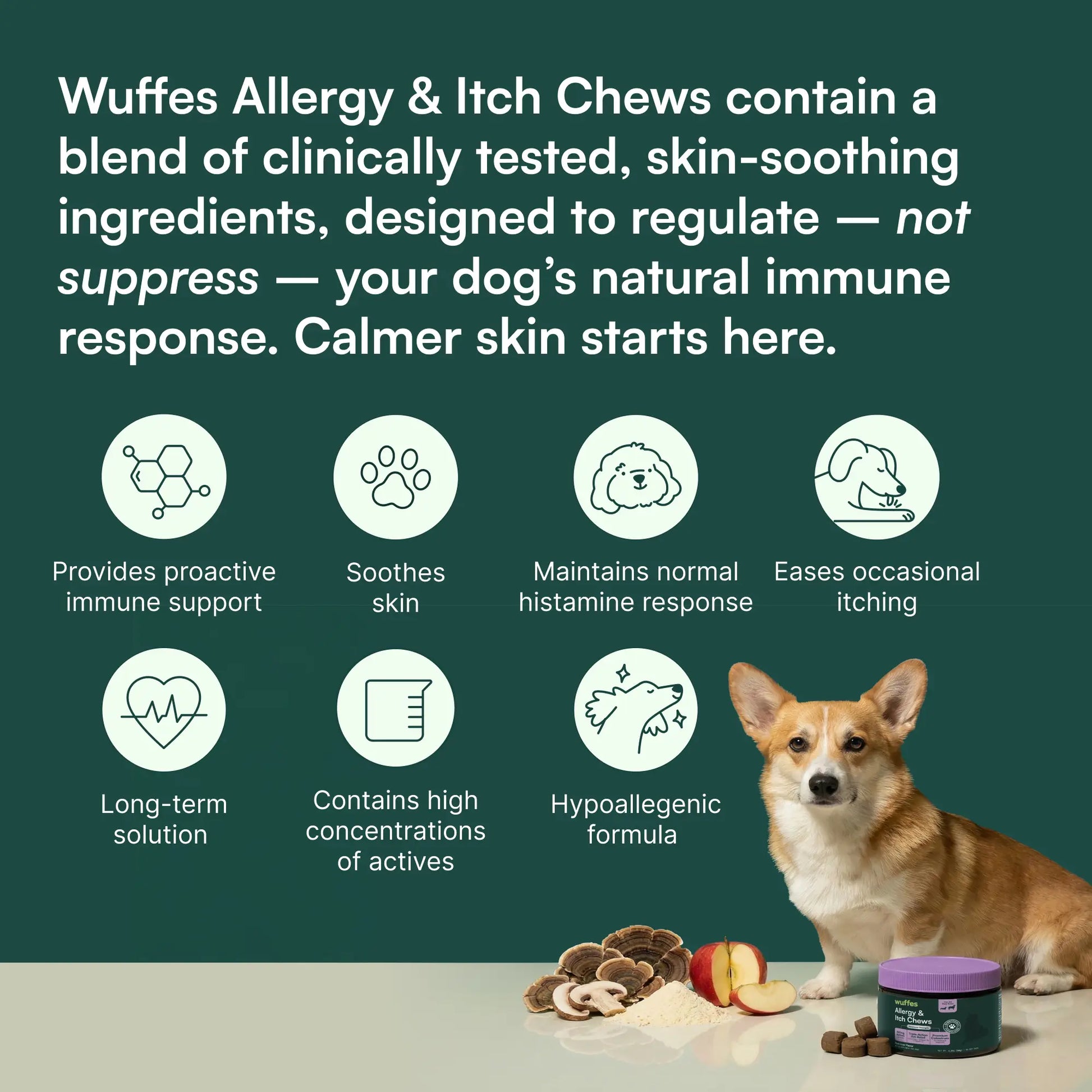 Wuffes Allergy & Itch Relief Chews for Dogs - Skin and Immune Support Supplement for Seasonal Allergies - Suitable for All Breeds and Ages - Made in the USA