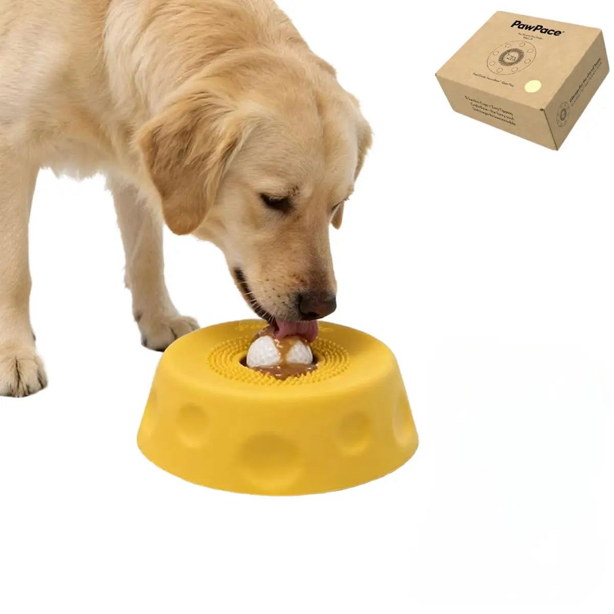 Pawpace Multi-Functional Dog Bowl - Slow Feeder and Lick Bowl with Ball for Oral Hygiene, Featuring 8 Suction Cups for Mess-Free Liquid Treat Enrichment